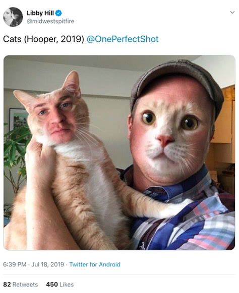 cats 2019 meme
