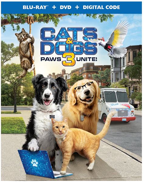 cats and dogs 3 paws unite dvd