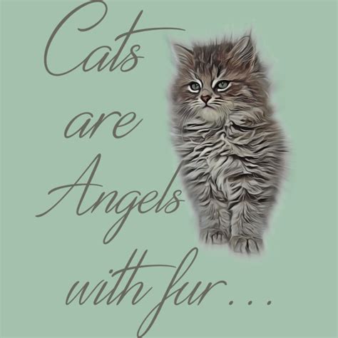 cats are angels with fur