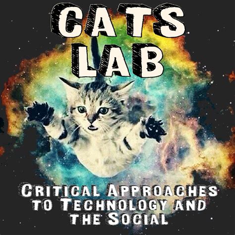 Cats In Lab