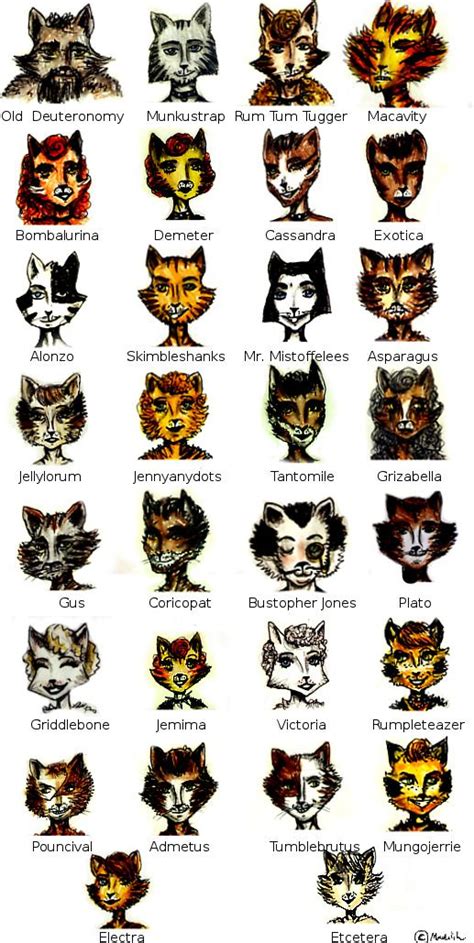 cats musical cat names