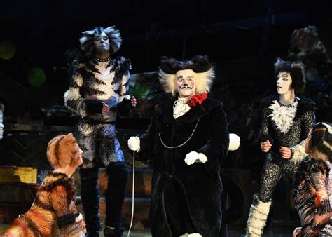cats the musical 2024