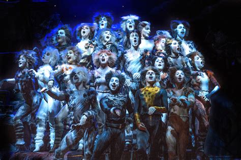 cats the musical melbourne