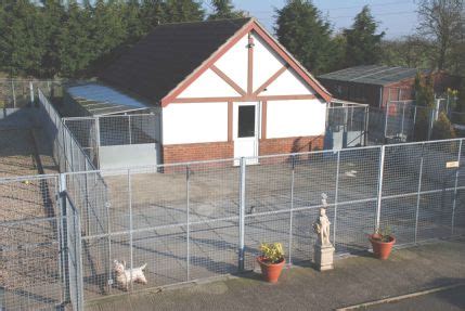 cattery in boston lincolnshire