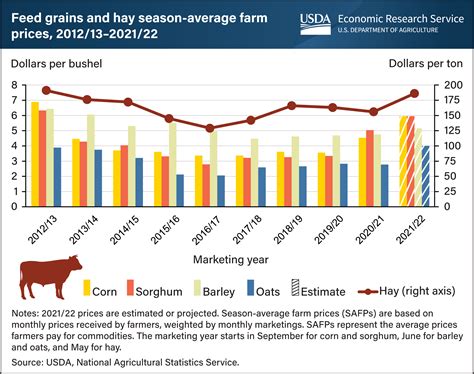 Cattle Feed Prices