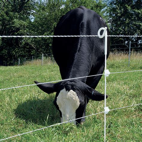 cattle fence electric