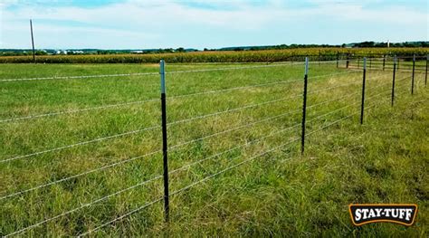 Cattle Fence Layout