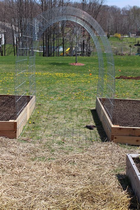 cattle fence trellis