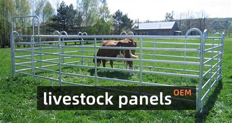 Cattle Fencing Panels Cost