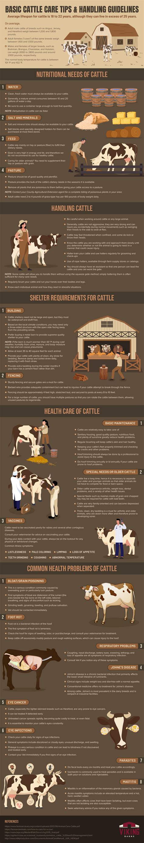 Cattle Handling Guidelines