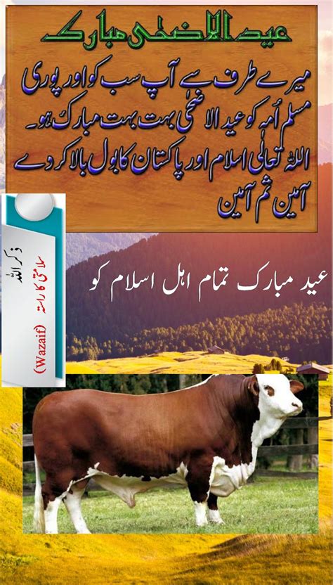 cattle meaning in urdu