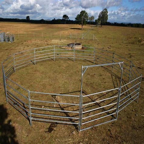 cattle panels for sale australia