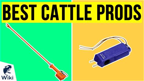 cattle prod meaning