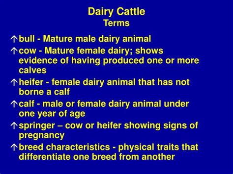 EverythingButtheMoo … Livestock judging, Agriculture education