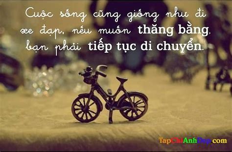 cau chuyen cuoc tinh