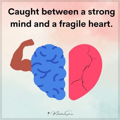 caught between a strong mind and a fragile heart meaning in urdu