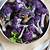cauliflower purple recipe