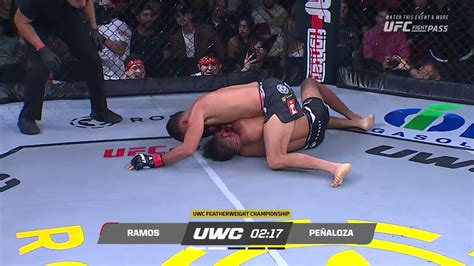 Cauliflower Ear Explodes Ufc