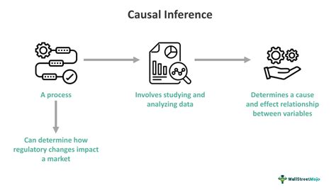 causal data meaning