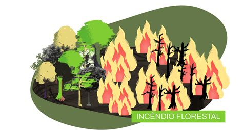 causas de incêndios florestais
