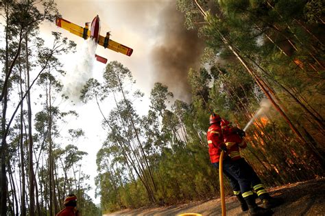 causas dos incêndios em portugal