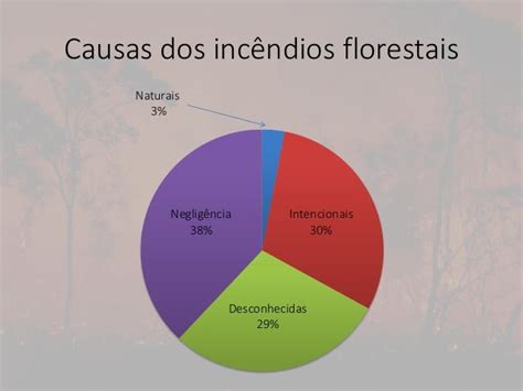 causas dos incêndios florestais