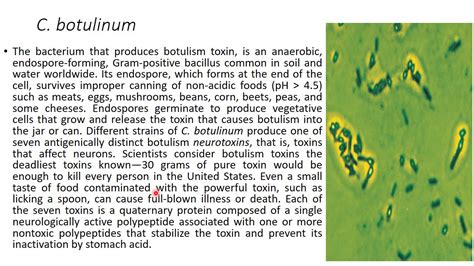 causative agent of botulism
