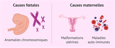 Cause De Fausse Couche: Quels Sont Les Facteurs De Risque?