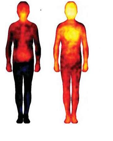 cause of internal body heat