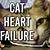 causes of heart failure in cats