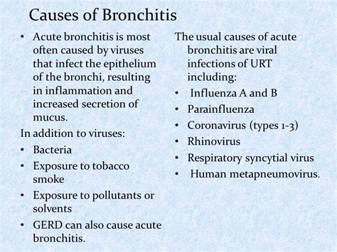 Understanding the Common Causes of Bronchitis Symptoms