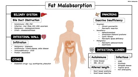 The Causes of Fat Malabsorption