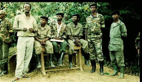 causes of liberation war in rwanda