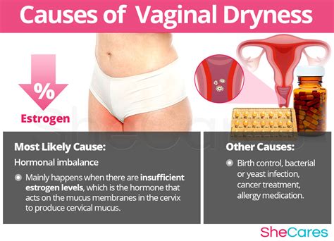 Understanding the Causes of Vaginal Dryness: What You Need to Know