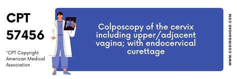 cauterization of endometriosis cpt code