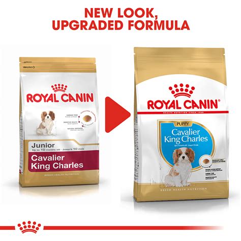 cavalier king charles puppy food