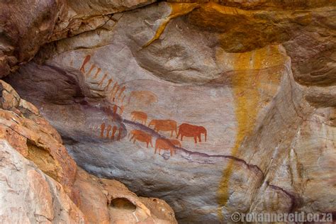 cave art in south africa