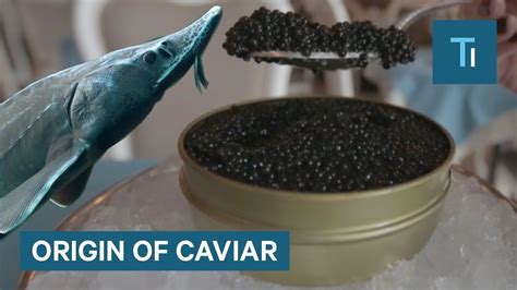 caviar fish eggs price in india
