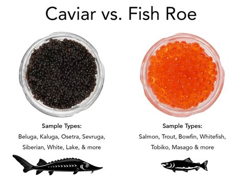 caviar vs fish eggs
