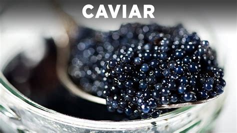 Caviar Youtube