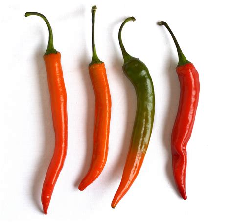 Cayenne Long Slim Pepper