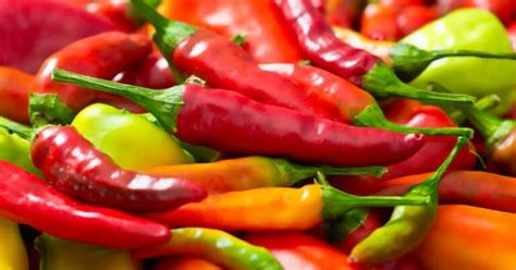 Cayenne Pepper Effects On Liver