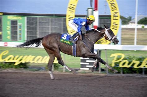 caymanas race track ltd