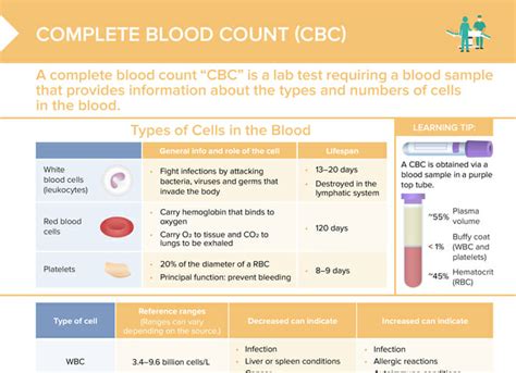 Understanding Your CBC Blood Count: What Do Results Mean?