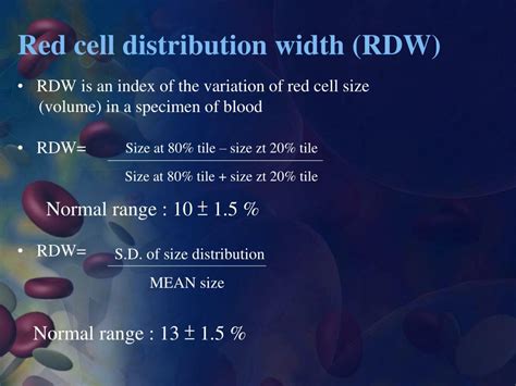 Understanding CBC RDW Count: Blood Test Insights Revealed