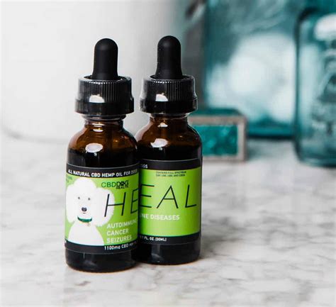 Bailey’s 300MG Full Spectrum CBD Oil For Dogs Purveda Health