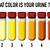 cbd urine color