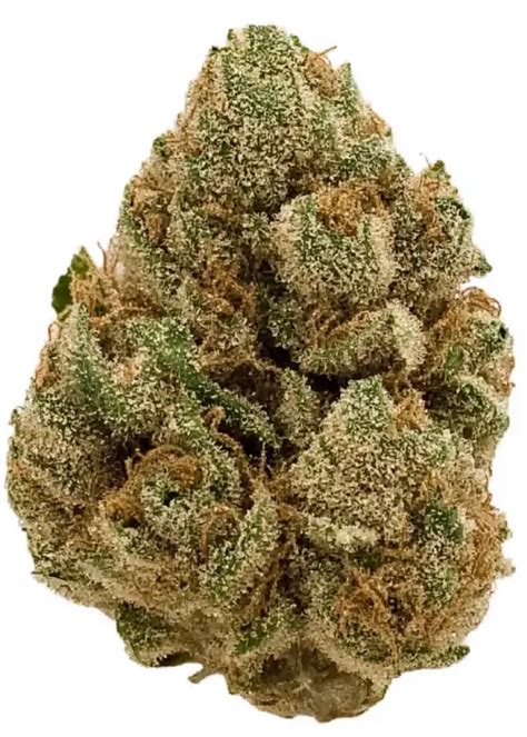 Cbd Blue Cheese Strain