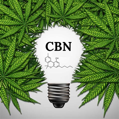 cbn cannabis