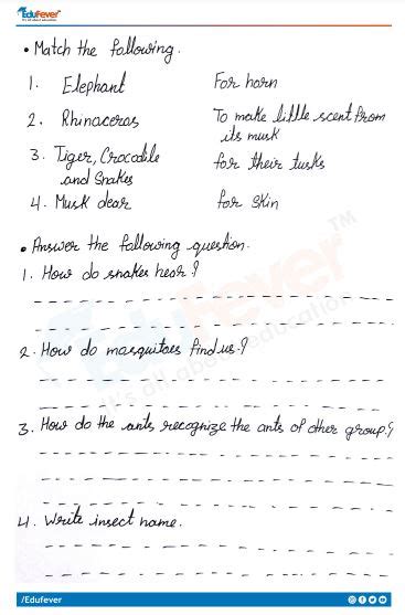 cbse class 5 evs workbook solutions